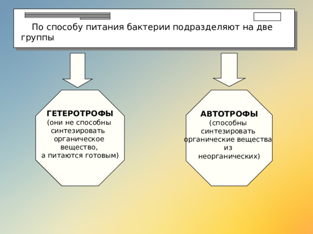  По способу питания бактерии подразделяют на две группы ГЕТЕРОТРОФЫ (они не способны синтезировать органическое вещество, а питаются готовым)  АВТОТРОФЫ (способны синтезировать органические вещества из неорганических) 