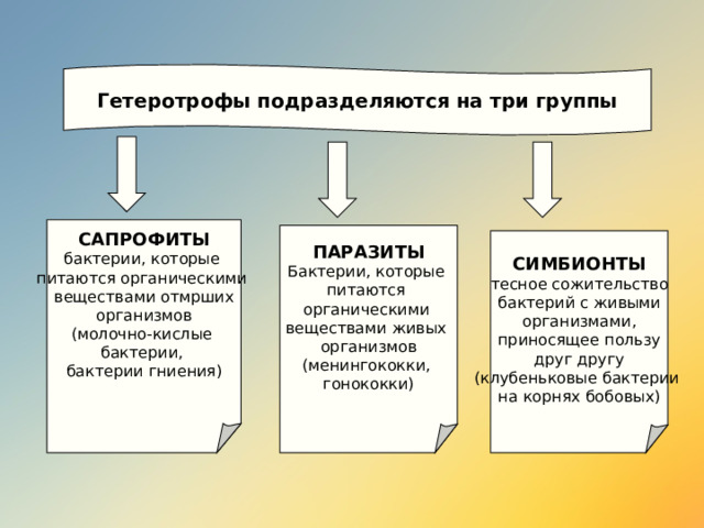 Гетеротрофы подразделяются на три группы САПРОФИТЫ бактерии, которые питаются органическими веществами отмрших организмов (молочно-кислые бактерии, бактерии гниения) ПАРАЗИТЫ Бактерии, которые питаются органическими веществами живых организмов (менингококки, гонококки) СИМБИОНТЫ тесное сожительство бактерий с живыми  организмами, приносящее пользу друг другу (клубеньковые бактерии на корнях бобовых) 