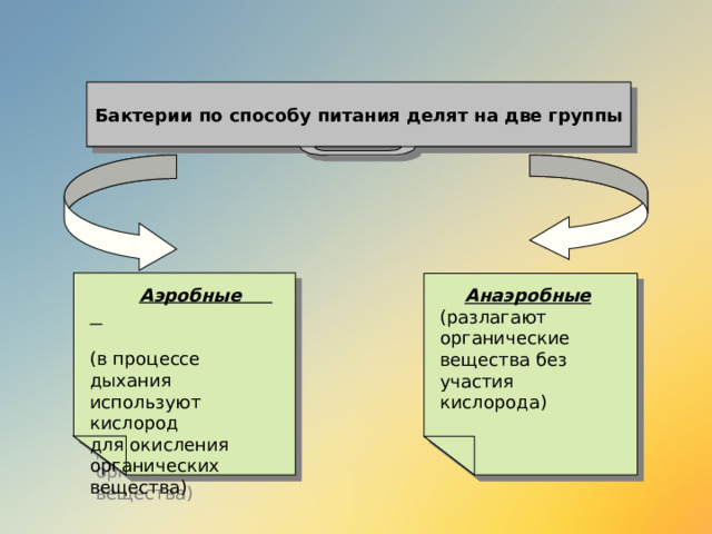 Бактерии по способу питания делят на две группы  Аэробные  (в процессе дыхания используют кислород для окисления органических вещества)  Анаэробные (разлагают органические вещества без участия кислорода) 