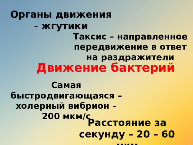 Органы движения - жгутики Таксис – направленное передвижение в ответ на раздражители Движение бактерий Самая быстродвигающаяся – холерный вибрион – 200 мкм/с Расстояние за секунду – 20 – 60 мкм 