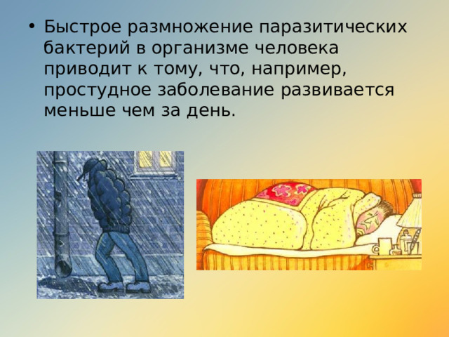 Быстрое размножение паразитических бактерий в организме человека приводит к тому, что, например, простудное заболевание развивается меньше чем за день. 