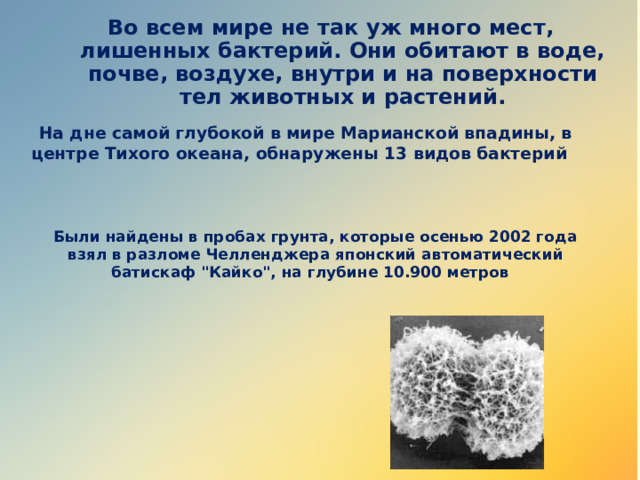 Во всем мире не так уж много мест, лишенных бактерий. Они обитают в воде, почве, воздухе, внутри и на поверхности тел животных и растений. На дне самой глубокой в мире Марианской впадины, в центре Тихого океана, обнаружены 13 видов бактерий  Были найдены в пробах грунта, которые осенью 2002 года взял в разломе Челленджера японский автоматический батискаф 