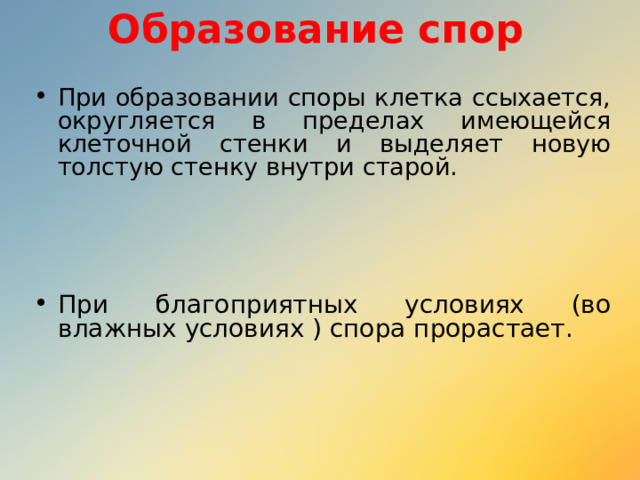 Образование спор При образовании споры клетка ссыхается, округляется в пределах имеющейся клеточной стенки и выделяет новую толстую стенку внутри старой.  При благоприятных условиях (во влажных условиях ) спора прорастает. 