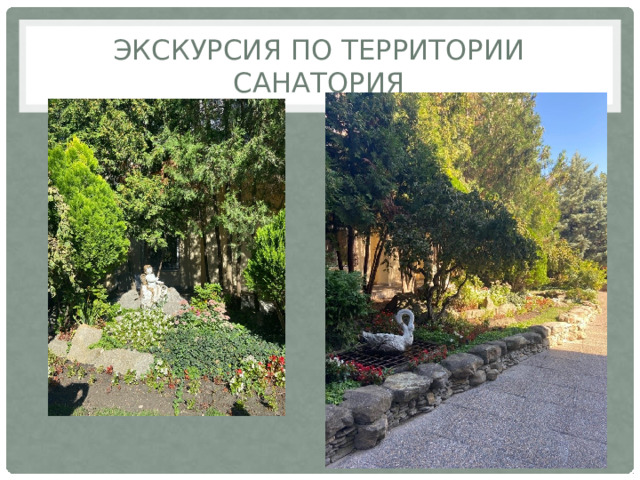 Экскурсия по территории санатория 