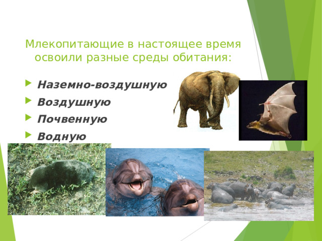 Образовательный портал «Мой университет» - www . moi - universitet . ru Факультет «Реформа образования» - www . edu - reforma . ru  Млекопитающие в настоящее время освоили разные среды обитания: Наземно-воздушную Воздушную Почвенную Водную Наземно-водную 