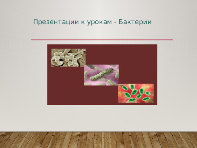 Презентации к урокам - Бактерии 