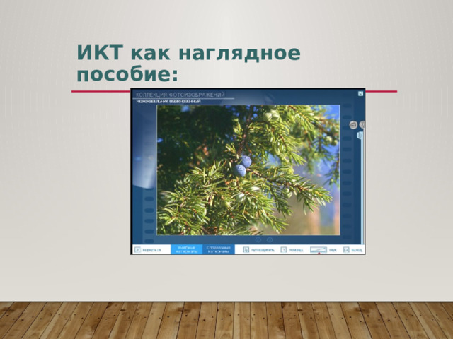 ИКТ как наглядное пособие: 