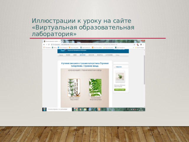 Иллюстрации к уроку на сайте «Виртуальная образовательная лаборатория» 