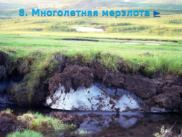 10/28/22 Реки, часто промерзающие зимой до дна, вес­ной широко разливаются, так как по промёрзшим по­родам талые воды стекают в них очень быстро. Из-за многолетней мерзлоты формируются особые формы рельефа: мерзлотные многоугольники, бугры, наледи, термокарстовые провалы и воронки. Близость холод­ных мёрзлых грунтов к поверхности замедляет почвообразование и неблагоприятно сказывается на жизни растений.  