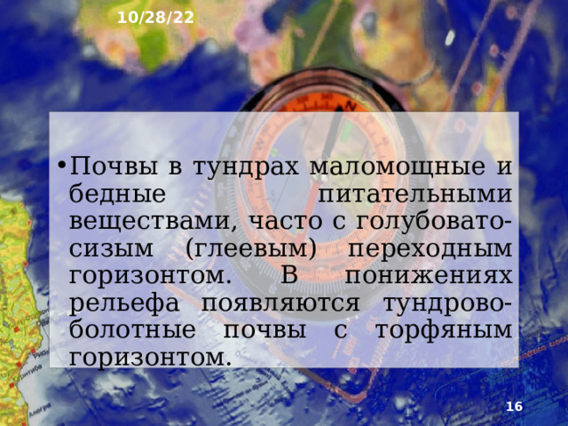 10/28/22 9. Растительность и почвы В арктических пустынях и тундрах нет деревьев. Их росту препятствуют низкие температуры, многолетняя мерзлота, короткий безмо­розный период и сильные ветры. Одно из важнейших приспособлений растений - низкорослость. Карликовые виды распространены как среди кустарников и кустарничков, так и среди трав.  