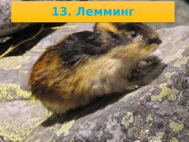 12. Писец ► 10/28/22 2. .  