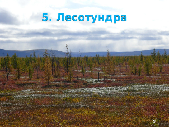 10/28/22 4. Тундра ►   