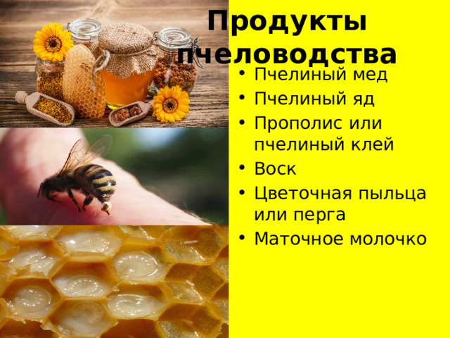 Продукты пчеловодства Пчелиный мед Пчелиный яд Прополис или пчелиный клей Воск Цветочная пыльца или перга Маточное молочко 