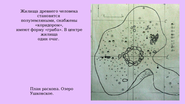 Жилища древнего человека становятся полуземляными, снабжены «коридором», имеют форму «гриба». В центре жилища один очаг. План раскопа. Озеро Ушковское. 