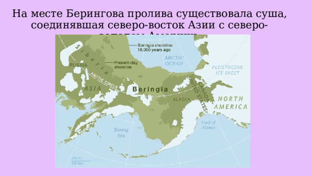 На месте Берингова пролива существовала суша, соединявшая северо-восток Азии с северо-западом Америки. 