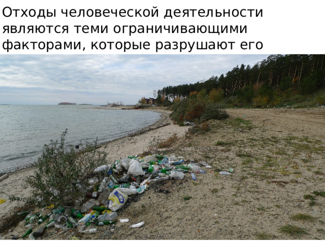 Отходы человеческой деятельности являются теми ограничивающими факторами, которые разрушают его экологическую нишу 