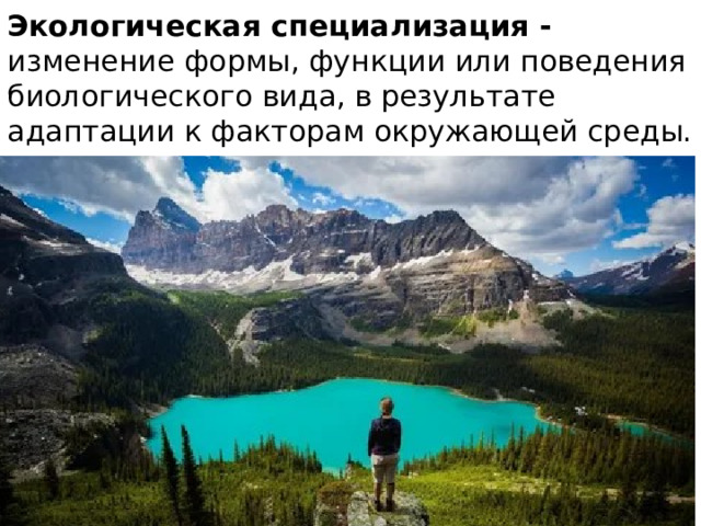 Экологическая специализация - изменение формы, функции или поведения биологического вида, в результате адаптации к факторам окружающей среды. 