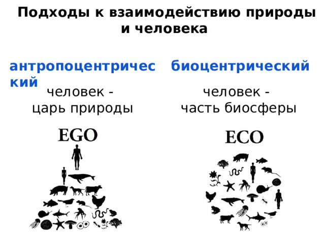 Подходы к взаимодействию природы и человека антропоцентрический биоцентрический человек - человек - царь природы часть биосферы 