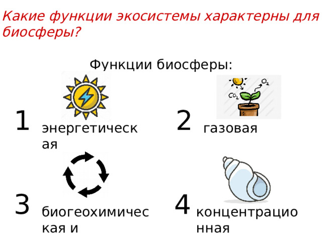 Какие функции экосистемы характерны для биосферы? Функции биосферы: 1 2 энергетическая газовая 3 4 биогеохимическая и транспортная концентрационная 
