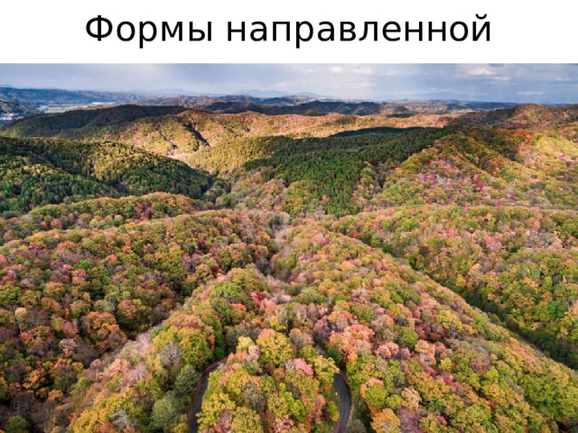 Формы направленной эволюции 