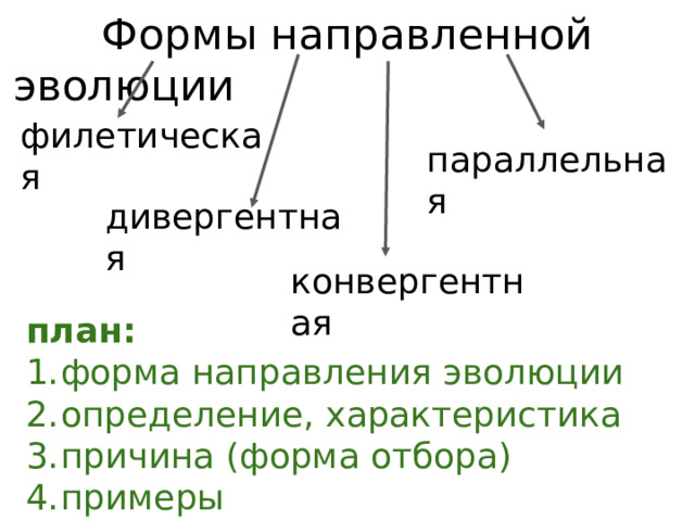 Формы направленной эволюции филетическая параллельная дивергентная конвергентная план: форма направления эволюции определение, характеристика причина (форма отбора) примеры 