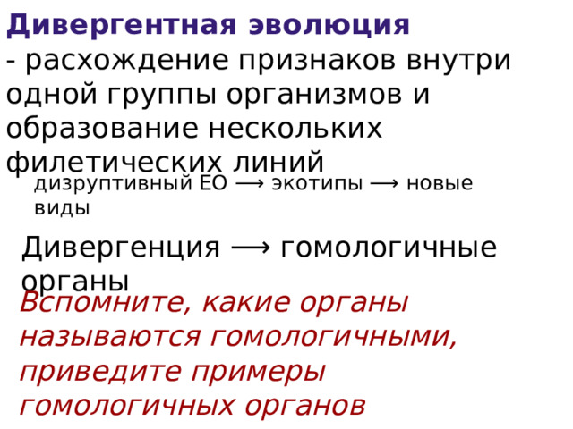Дивергентная эволюция - расхождение признаков внутри одной группы организмов и образование нескольких филетических линий дизруптивный ЕО ⟶ экотипы ⟶ новые виды Дивергенция ⟶ гомологичные органы Вспомните, какие органы называются гомологичными, приведите примеры гомологичных органов 