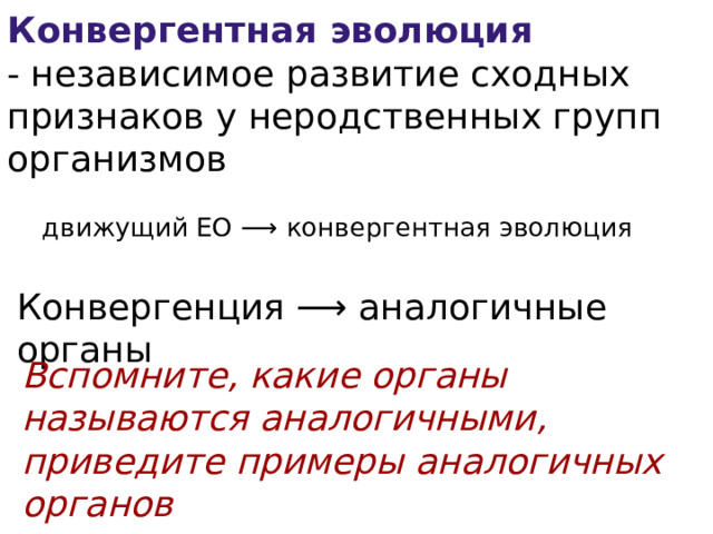 Конвергентная эволюция - независимое развитие сходных признаков у неродственных групп организмов движущий ЕО ⟶ конвергентная эволюция Конвергенция ⟶ аналогичные органы Вспомните, какие органы называются аналогичными, приведите примеры аналогичных органов 