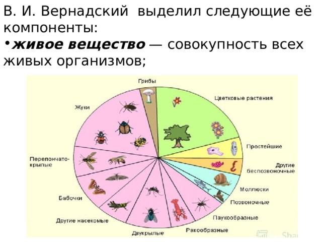 В. И. Вернадский выделил следующие её компоненты: живое вещество  — совокупность всех живых организмов; 
