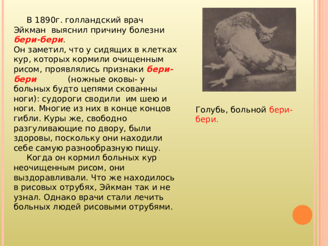  В 1890г. голландский врач Эйкман выяснил причину болезни бери-бери . Он заметил, что у сидящих в клетках кур, которых кормили очищенным рисом, проявлялись признаки бери-бери (ножные оковы- у больных будто цепями скованны ноги): судороги сводили им шею и ноги. Многие из них в конце концов гибли. Куры же, свободно разгуливающие по двору, были здоровы, поскольку они находили себе самую разнообразную пищу.  Когда он кормил больных кур неочищенным рисом, они выздоравливали. Что же находилось в рисовых отрубях, Эйкман так и не узнал. Однако врачи стали лечить больных людей рисовыми отрубями. Голубь, больной бери-бери. 