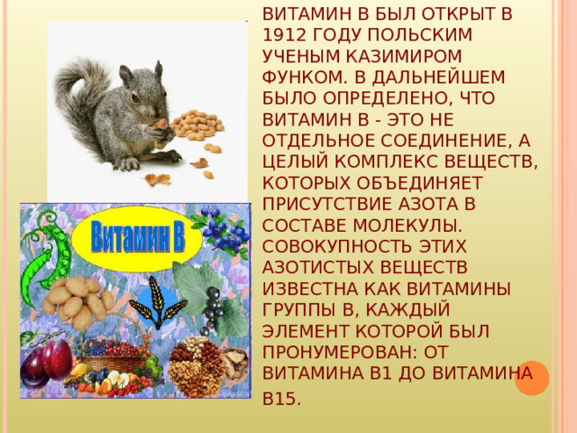 ВИТАМИН B БЫЛ ОТКРЫТ В 1912 ГОДУ ПОЛЬСКИМ УЧЕНЫМ КАЗИМИРОМ ФУНКОМ. В ДАЛЬНЕЙШЕМ БЫЛО ОПРЕДЕЛЕНО, ЧТО ВИТАМИН B - ЭТО НЕ ОТДЕЛЬНОЕ СОЕДИНЕНИЕ, А ЦЕЛЫЙ КОМПЛЕКС ВЕЩЕСТВ, КОТОРЫХ ОБЪЕДИНЯЕТ ПРИСУТСТВИЕ АЗОТА В СОСТАВЕ МОЛЕКУЛЫ. СОВОКУПНОСТЬ ЭТИХ АЗОТИСТЫХ ВЕЩЕСТВ ИЗВЕСТНА КАК ВИТАМИНЫ ГРУППЫ B, КАЖДЫЙ ЭЛЕМЕНТ КОТОРОЙ БЫЛ ПРОНУМЕРОВАН: ОТ ВИТАМИНА B1 ДО ВИТАМИНА B15.  