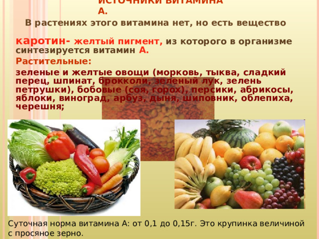 ИСТОЧНИКИ ВИТАМИНА А.  В растениях этого витамина нет, но есть вещество    каротин- желтый пигмент, из которого в организме синтезируется витамин  А. Растительные: зеленые и желтые овощи (морковь, тыква, сладкий перец, шпинат, брокколи, зеленый лук, зелень петрушки), бобовые (соя, горох), персики, абрикосы, яблоки, виноград, арбуз, дыня, шиповник, облепиха, черешня;         Суточная норма витамина А: от 0,1 до 0,15г. Это крупинка величиной с просяное зерно. 