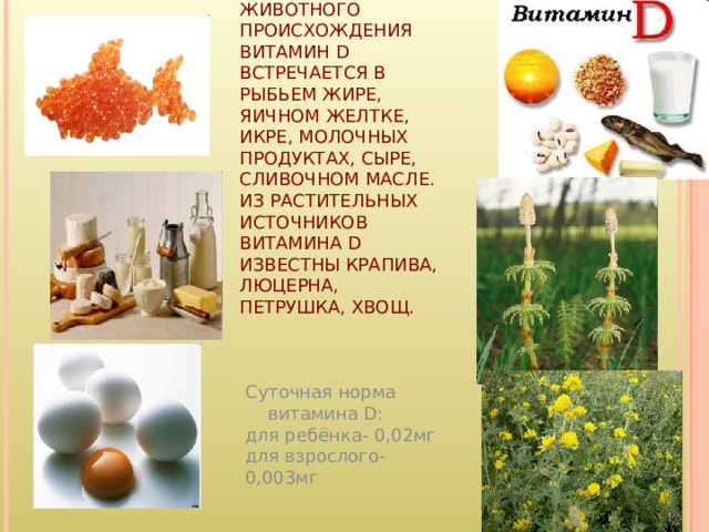 В ПРОДУКТАХ ЖИВОТНОГО ПРОИСХОЖДЕНИЯ ВИТАМИН D ВСТРЕЧАЕТСЯ В РЫБЬЕМ ЖИРЕ, ЯИЧНОМ ЖЕЛТКЕ, ИКРЕ, МОЛОЧНЫХ ПРОДУКТАХ, СЫРЕ, СЛИВОЧНОМ МАСЛЕ. ИЗ РАСТИТЕЛЬНЫХ ИСТОЧНИКОВ ВИТАМИНА D ИЗВЕСТНЫ КРАПИВА, ЛЮЦЕРНА,  ПЕТРУШКА, ХВОЩ.        Суточная норма витамина D :  для ребёнка- 0,02мг  для взрослого- 0,003мг 