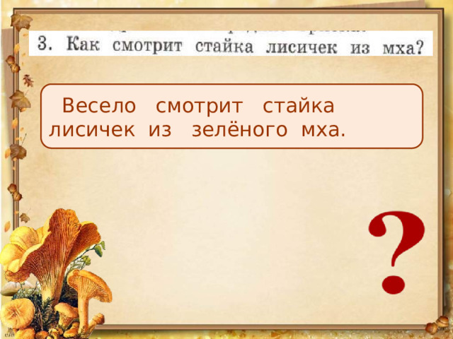  Весело смотрит стайка лисичек из зелёного мха. 