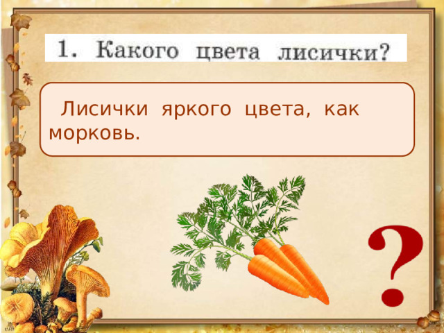  Лисички яркого цвета, как морковь. 