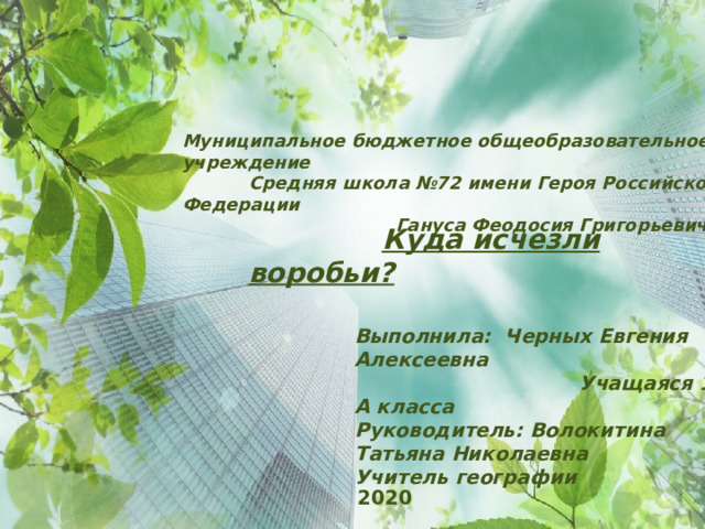 Муниципальное бюджетное общеобразовательное учреждение  Средняя школа №72 имени Героя Российской Федерации  Гануса Феодосия Григорьевича  Куда исчезли воробьи? Выполнила: Черных Евгения Алексеевна Учащаяся 10 А класса Руководитель: Волокитина Татьяна Николаевна Учитель географии  2020 