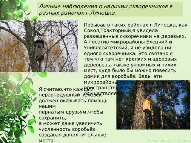 Личные наблюдения о наличии скворечников в разных районах г.Липецка. Побывав в таких районах г.Липецка, как Сокол,Тракторный,я увидела развешенные скворечники на деревьях. А посетив микрорайоны Елецкий и Университетский, я не увидела ни одного скворечника. Это связано с тем,что там нет крепких и здоровых деревьев,а также укромных и тихих мест, куда было бы можно повесить домик для воробьёв. Ведь эти микрорайоны построены на открытом пространстве и их озеленение только осуществляется. Я считаю,что каждый неравнодушный человек должен оказывать помощь нашим пернатым друзьям,чтобы сохранить, а может даже увеличить численность воробьёв, создавая дополнительные места гнездования,например,скворечники и подкармливая их. 