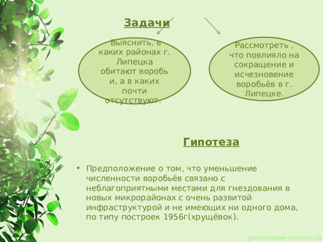  Задачи Рассмотреть , что повлияло на сокращение и исчезновение воробьёв в г. Липецке.  Выяснить, в каких районах г. Липецка обитают воробьи, а в каких почти отсутствуют.   Гипотеза Предположение о том, что уменьшение численности воробьёв связано с неблагоприятными местами для гнездования в новых микрорайонах с очень развитой инфраструктурой и не имеющих ни одного дома, по типу построек 1956г(хрущёвок). 