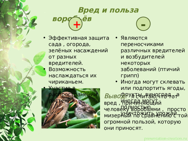  Вред и польза воробьёв + - Эффективная защита сада , огорода, зелёных насаждений от разных вредителей. Возможность наслаждаться их чириканьем. Участие в распространении растений. Являются переносчиками различных вредителей и возбудителей некоторых заболеваний (птичий грипп) Иногда могут склевать или подпортить ягоды, фрукты, виноград , а иногда могут полностью уничтожить урожай. Вывод:   я считаю,что тот вред , причиняющий человеку воробьями , просто мизерный по сравнению с той огромной пользой, которую они приносят. 