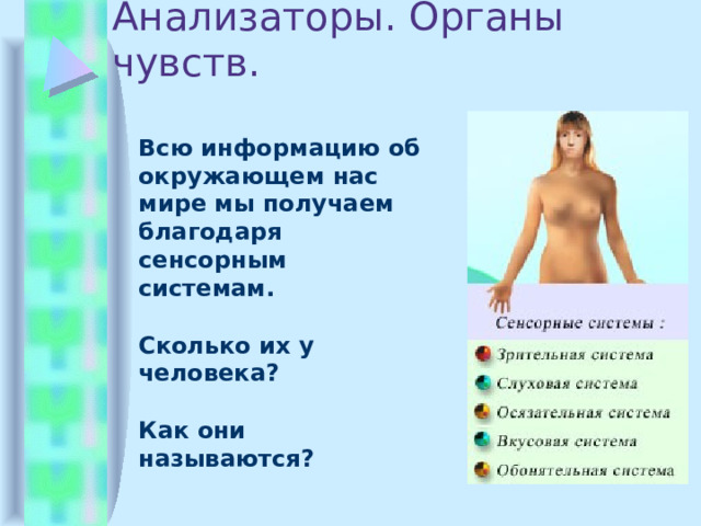 Анализаторы. Органы чувств.  Всю информацию об окружающем нас мире мы получаем благодаря сенсорным системам.  Сколько их у человека?  Как они называются? 