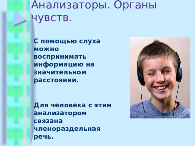 Анализаторы. Органы чувств.  С помощью слуха можно воспринимать информацию на значительном расстоянии.  Для человека с этим анализатором связана членораздельная речь. 