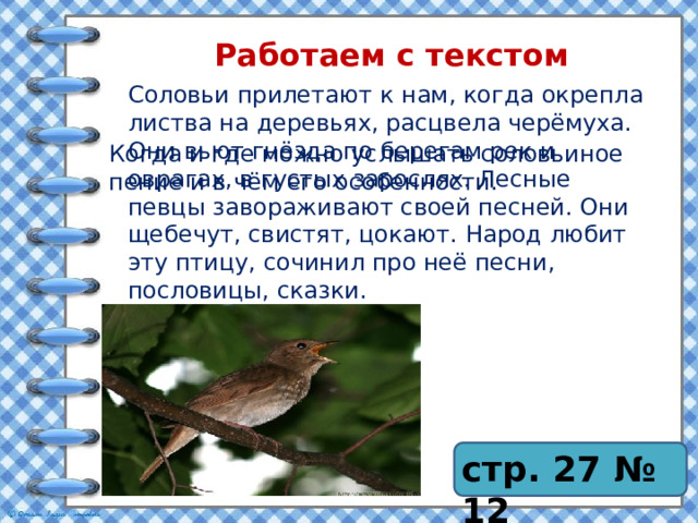 Работаем с текстом Соловьи прилетают к нам, когда окрепла листва на деревьях, расцвела черёмуха. Они вьют гнёзда по берегам рек и оврагах, в густых зарослях. Лесные певцы завораживают своей песней. Они щебечут, свистят, цокают. Народ любит эту птицу, сочинил про неё песни, пословицы, сказки. Когда и где можно услышать соловьиное пение и в чём его особенности. стр. 27 № 12 