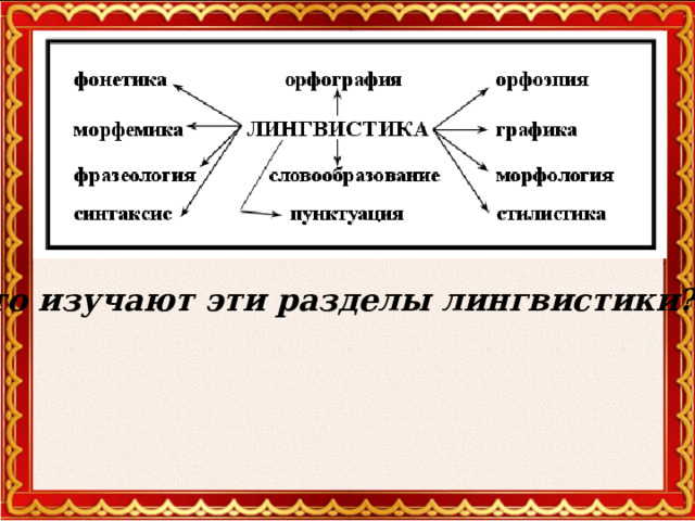 Что изучают эти разделы лингвистики?  