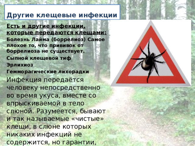 Другие клещевые инфекции  Есть и другие инфекции, которые передаются клещами: Болезнь Лайма (боррелиоз) Самое плохое то, что прививок от боррелиоза не существует. Сыпной клещевой тиф Эрлихиоз  Гемморагические лихорадки Инфекция передаётся человеку непосредственно во время укуса, вместе со впрыскиваемой в тело слюной. Разумеется, бывают и так называемые «чистые» клещи, в слюне которых никаких инфекций не содержится, но гарантии, что укусивший вас клещ не является переносчиком заболевания, нет.    
