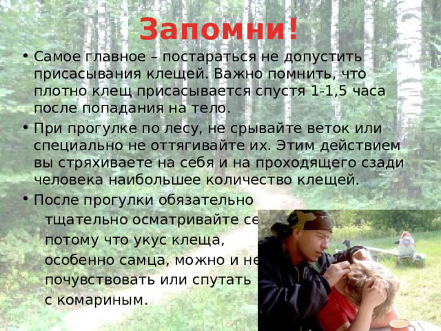 Запомни! Самое главное – постараться не допустить присасывания клещей. Важно помнить, что плотно клещ присасывается спустя 1-1,5 часа после попадания на тело. При прогулке по лесу, не срывайте веток или специально не оттягивайте их. Этим действием вы стряхиваете на себя и на проходящего сзади человека наибольшее количество клещей. После прогулки обязательно  тщательно осматривайте себя,  потому что укус клеща,  особенно самца, можно и не  почувствовать или спутать  с комариным. 