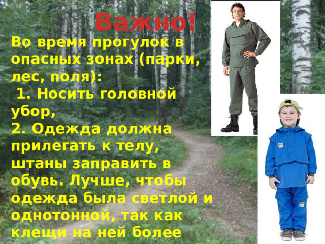 Важно! Во время прогулок в опасных зонах (парки, лес, поля):  1. Носить головной убор, 2. Одежда должна прилегать к телу, штаны заправить в обувь.  Лучше, чтобы одежда была светлой и однотонной, так как клещи на ней более заметны;  3. Осматривать одежду каждые 10 минут;  3. Не садиться и не ложиться на траву. 