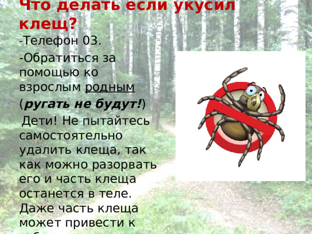 Что делать если укусил клещ? - Телефон 03. -Обратиться за помощью ко взрослым родным  ( ругать не будут! )  Дети! Не пытайтесь самостоятельно удалить клеща, так как можно разорвать его и часть клеща останется в теле. Даже часть клеща может привести к заболеванию.  