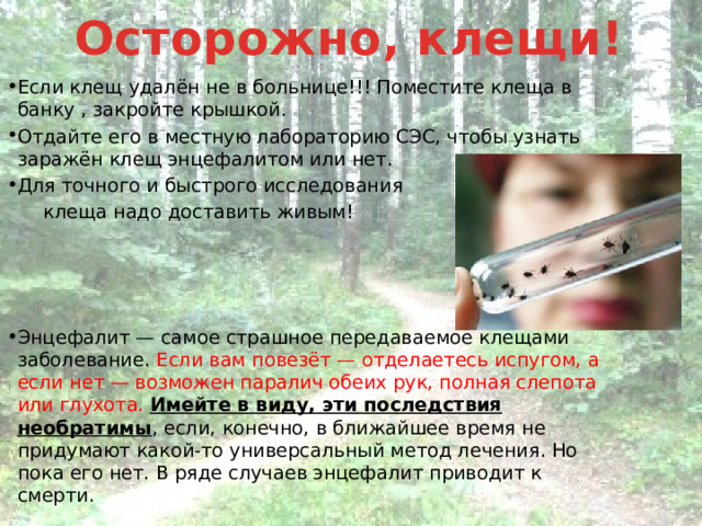 Осторожно, клещи! Если клещ удалён не в больнице!!! Поместите клеща в банку , закройте крышкой. Отдайте его в местную лабораторию СЭС, чтобы узнать заражён клещ энцефалитом или нет. Для точного и быстрого исследования  клеща надо доставить живым! Энцефалит — самое страшное передаваемое клещами заболевание. Если вам повезёт — отделаетесь испугом, а если нет — возможен паралич обеих рук, полная слепота или глухота. Имейте в виду, эти последствия необратимы , если, конечно, в ближайшее время не придумают какой-то универсальный метод лечения. Но пока его нет. В ряде случаев энцефалит приводит к смерти. 