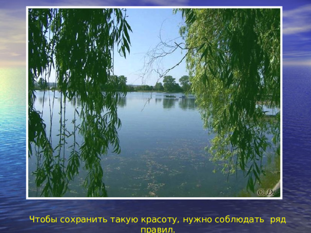 Чтобы сохранить такую красоту, нужно соблюдать ряд правил. 