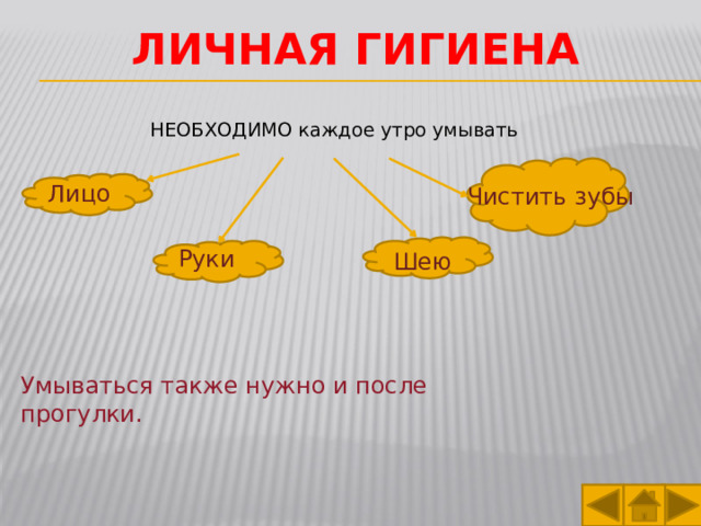Личная гигиена НЕОБХОДИМО каждое утро умывать Лицо Чистить зубы Руки Шею Умываться также нужно и после прогулки. 