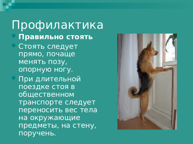 Профилактика Правильно стоять  Стоять следует прямо, почаще менять позу, опорную ногу. При длительной поездке стоя в общественном транспорте следует переносить вес тела на окружающие предметы, на стену, поручень. 